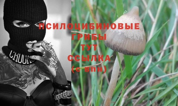 синтетический гашиш Бронницы