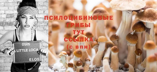 прущие крисы Бугульма