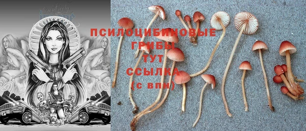 гашиш Бородино