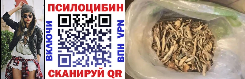 Псилоцибиновые грибы Psilocybe  Плавск 